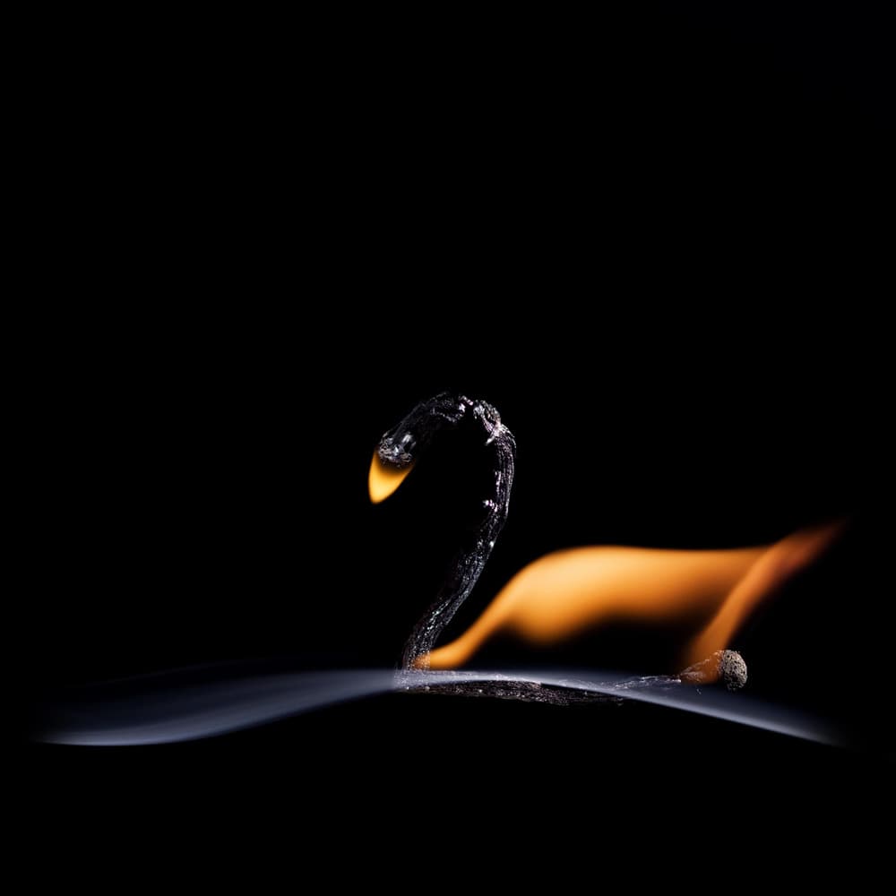 Burning Swan Match by Stanislav Aristov — canvas wall art