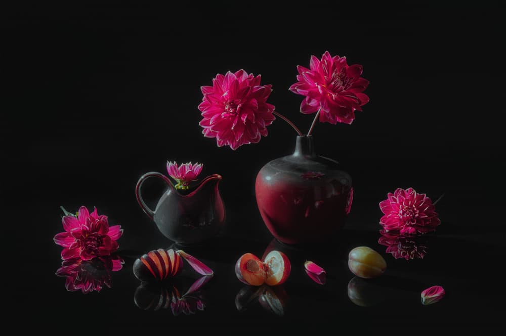 Moody Dahlias and Plums by Lydia Jacobs — canvas wall art