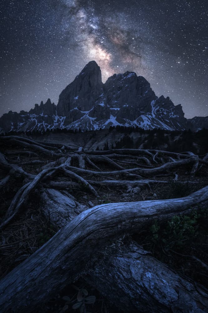 Starry Mountain Roots by Daniel Gastager — canvas wall art