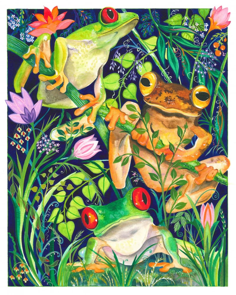 Frog in the Greens by Isabelle Brent — canvas wall art