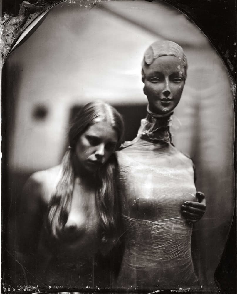 Irene by Peter van Hal — canvas wall art