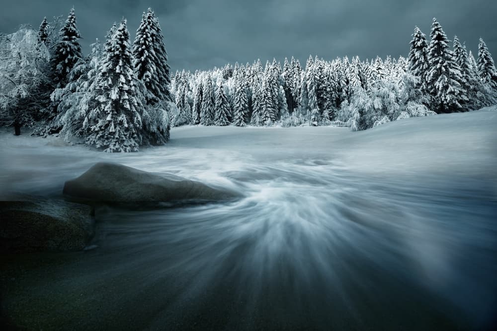 Winter Forest Stream Flow by Arnaud MAUPETIT — canvas wall art