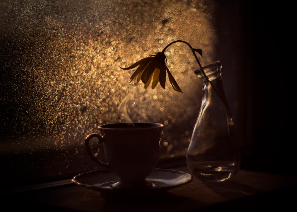 Golden Light Coffee Flower by Lenka — canvas wall art