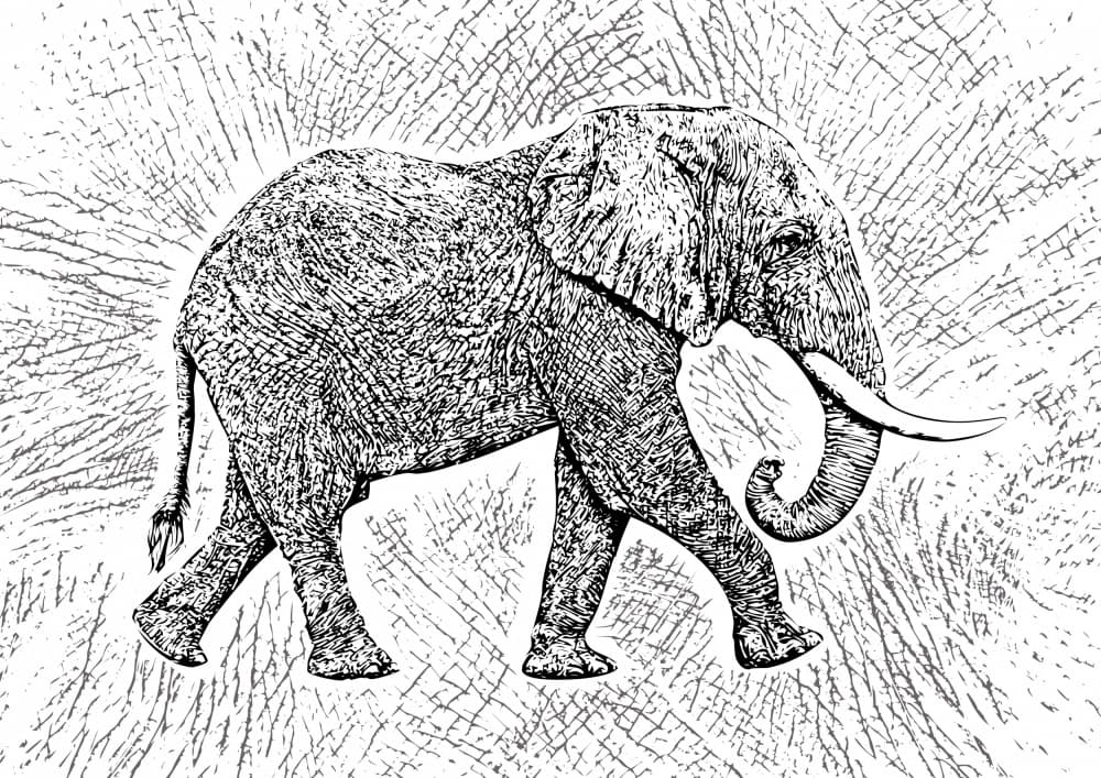 Majestic Elephant Stride by Carlo Kaminski — canvas wall art