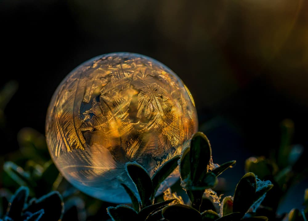 Golden Frozen Bubble by Christiane Heggemann — canvas wall art