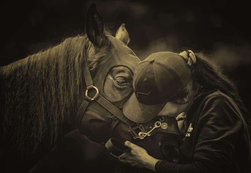 Gentle Horse Embrace by Molly Fu APA — canvas wall art