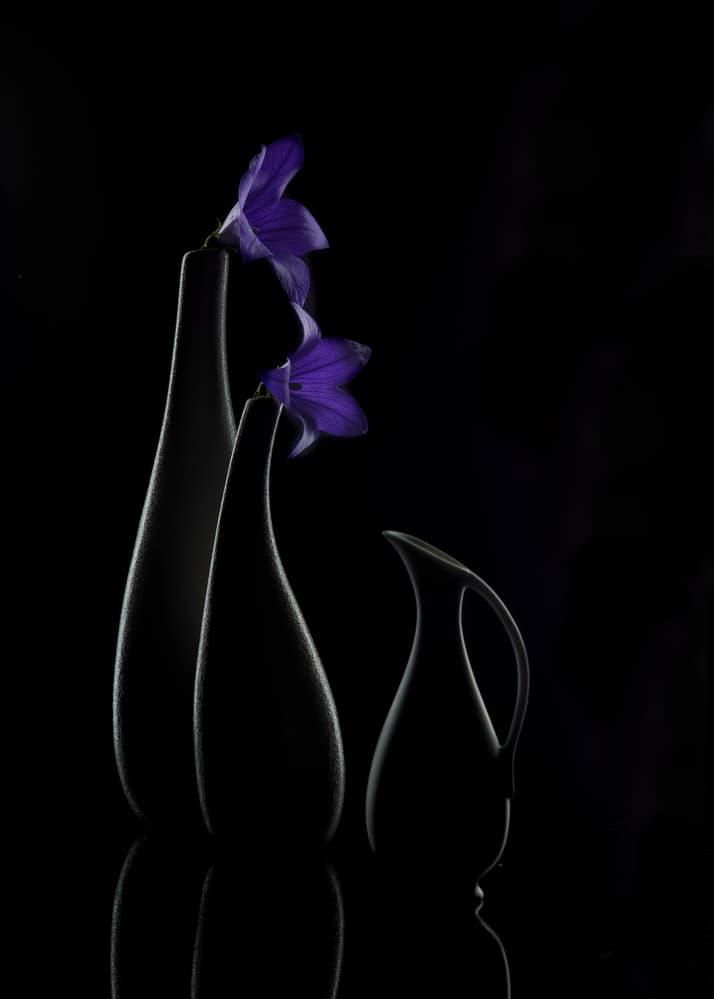 Purple Bloom Vases by Wendy Xu — canvas wall art