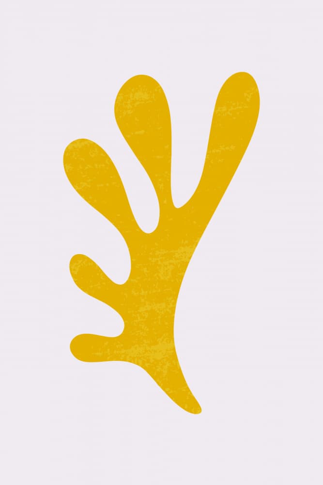 Fluid Organic Yellow Shape by jay stanley — canvas wall art