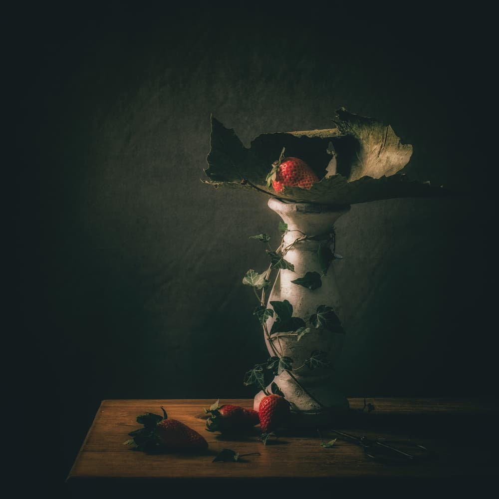 Moody Strawberry Pedestal by Monique van Velzen — canvas wall art