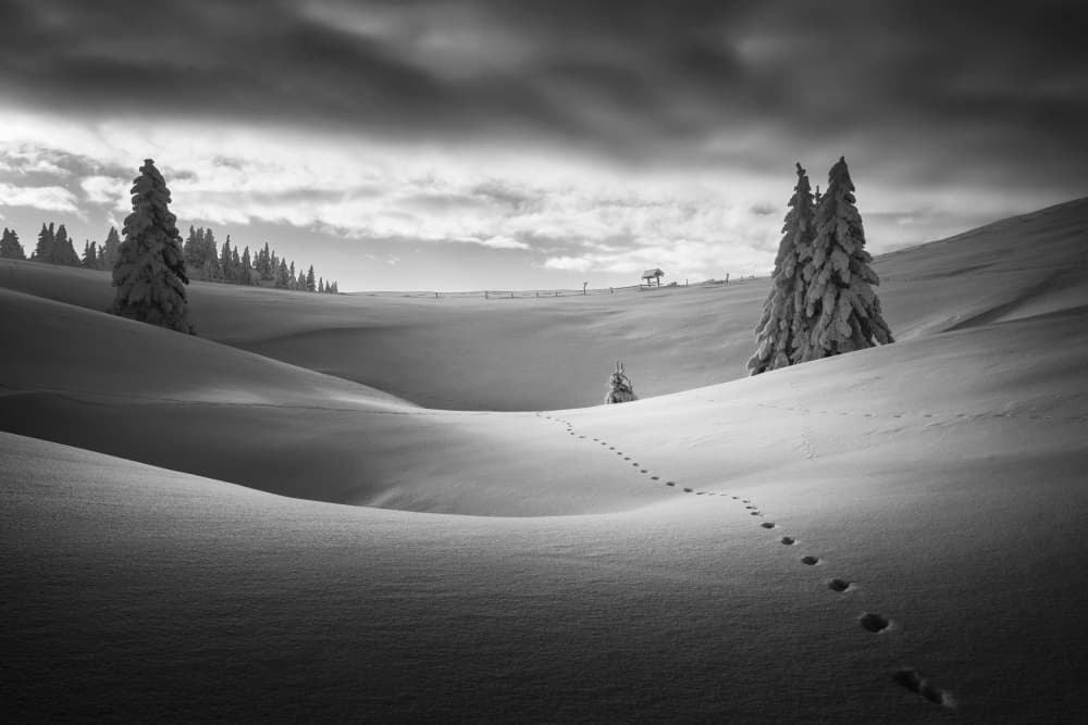 Snowy Winter Path by Ales Komovec — canvas wall art