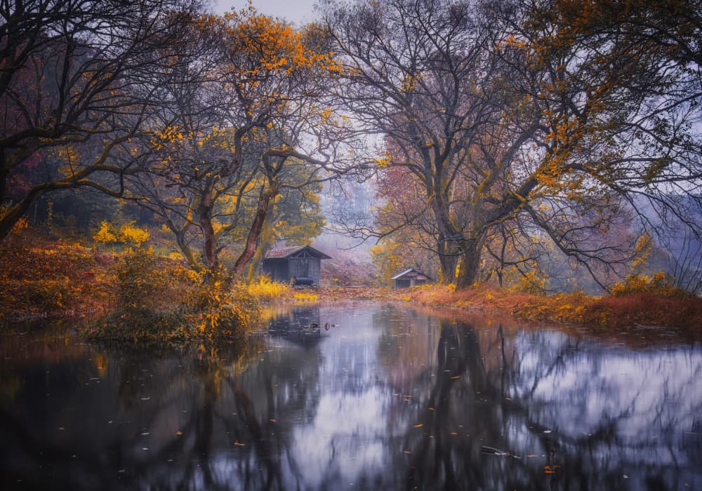 Rustic Autumn Reflections by Tiger Seo — canvas wall art