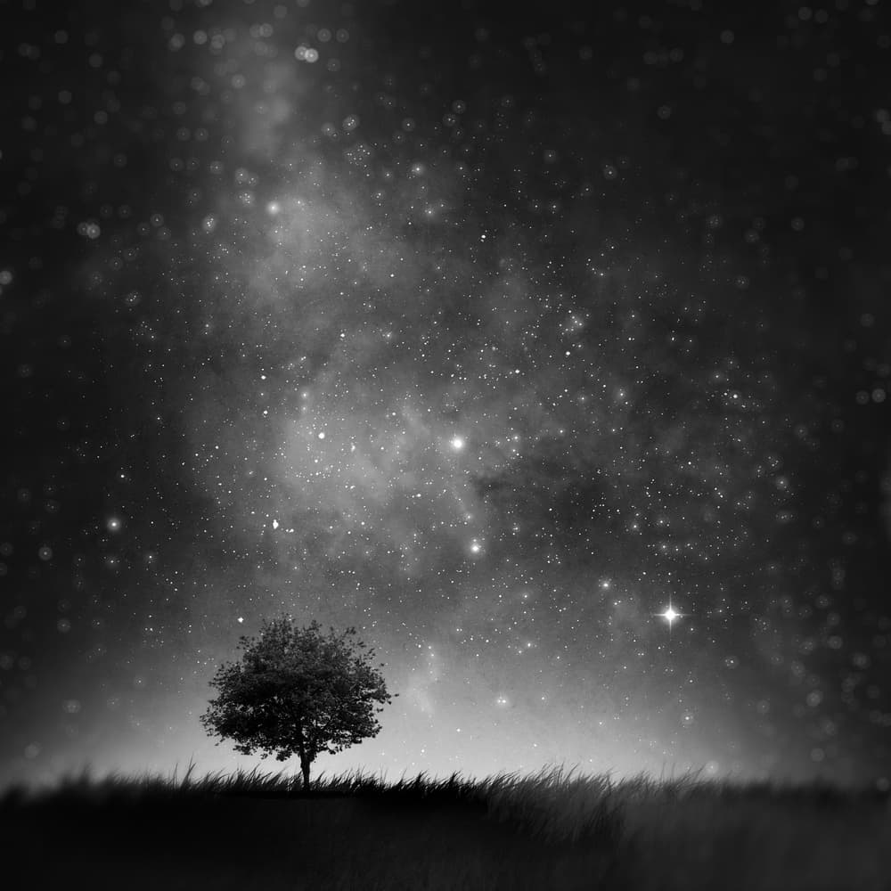 Lone Tree Starry Night by Sebastien DEL GROSSO — canvas wall art