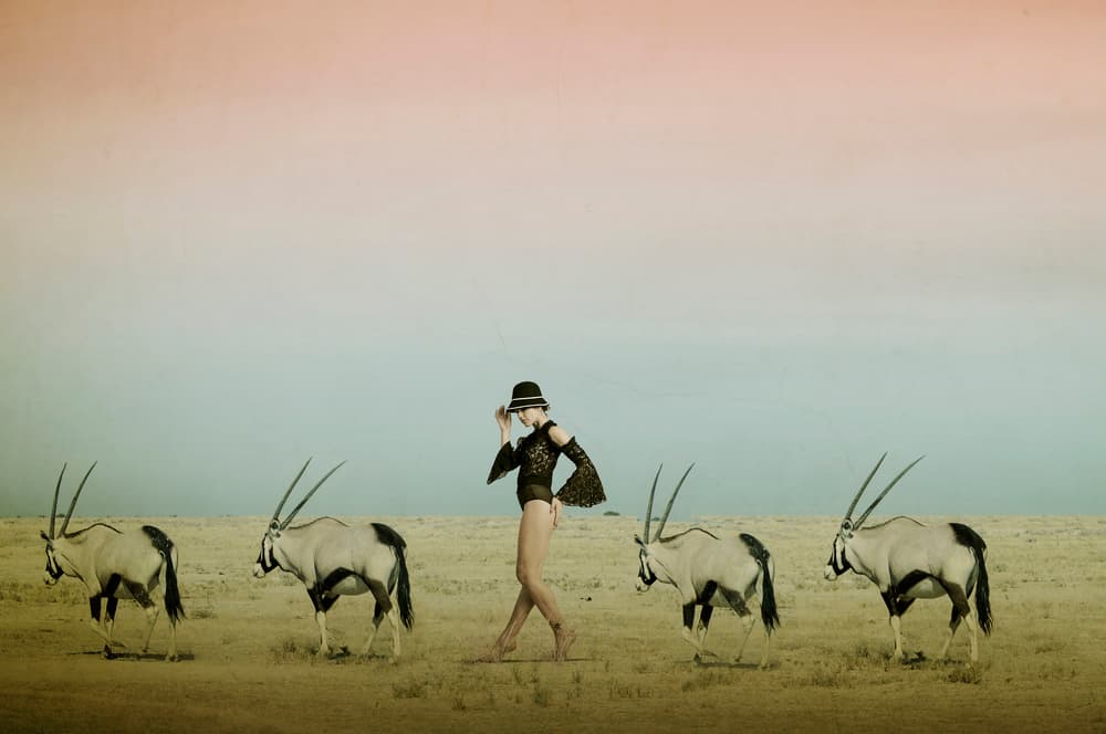 Desert Walk With Oryx by Christine von Diepenbroek — canvas wall art