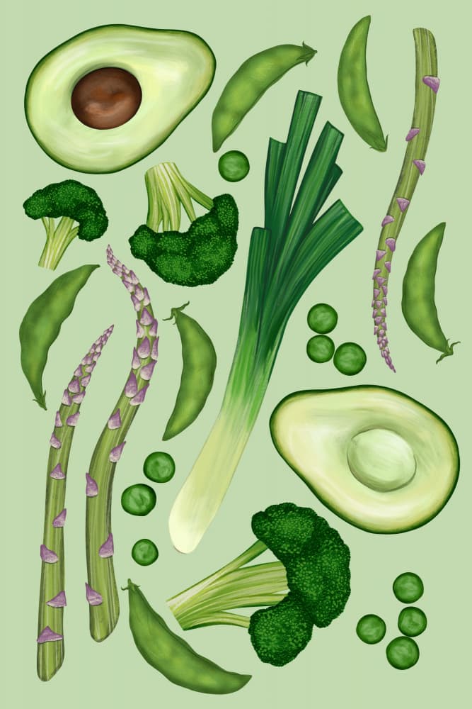 Vibrant Green Vegetables by EMELIEmaria — canvas wall art