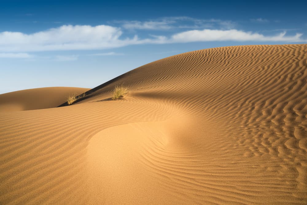 Golden Desert Dunes by Hosein Babaei — canvas wall art