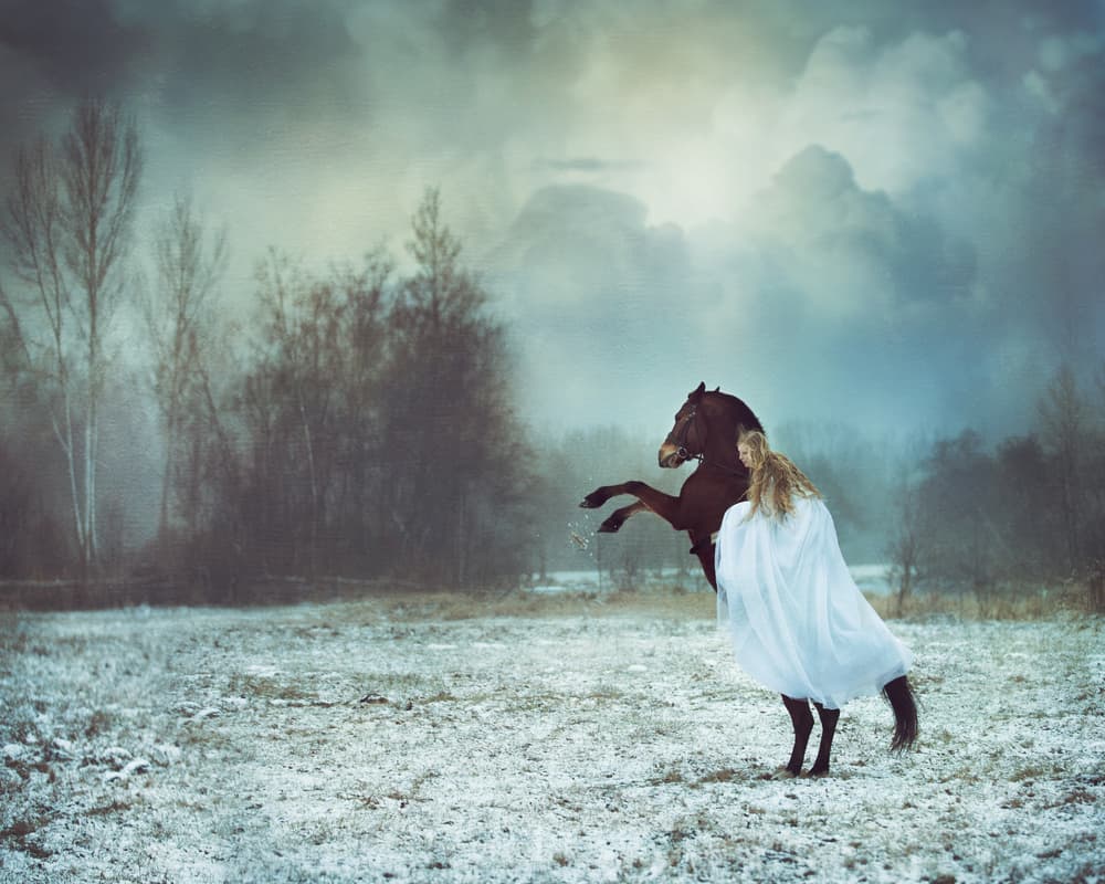dances with the horse by Magdalena Russocka — canvas wall art