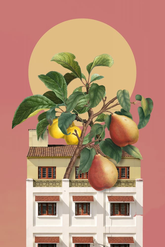 Surreal Pear Tree Building by Marja van den Hurk — canvas wall art