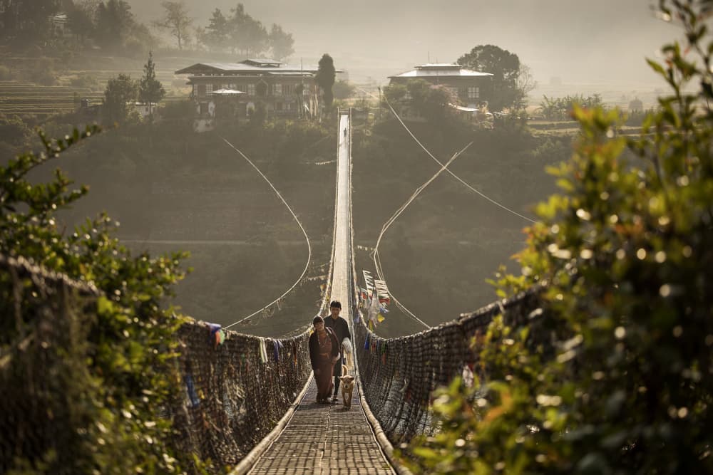 Bhutan Bridge Morning Mist by Dan Mirica — canvas wall art