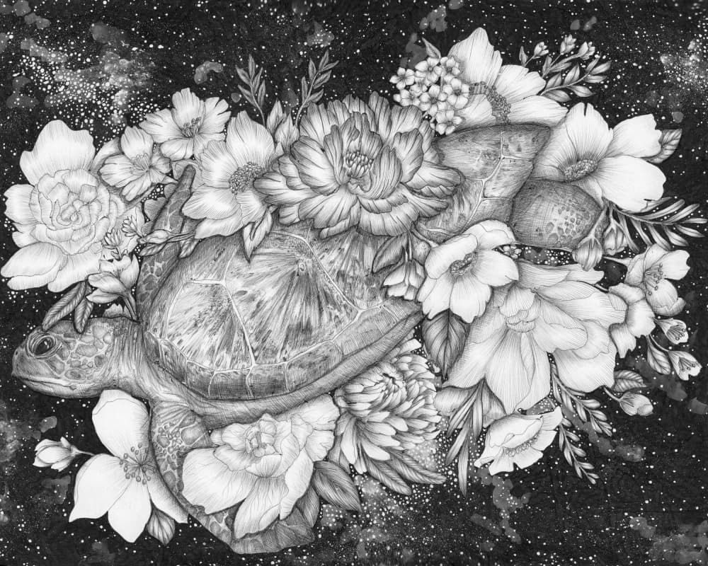 Starry Turtle Bloom by EC Mazur — canvas wall art
