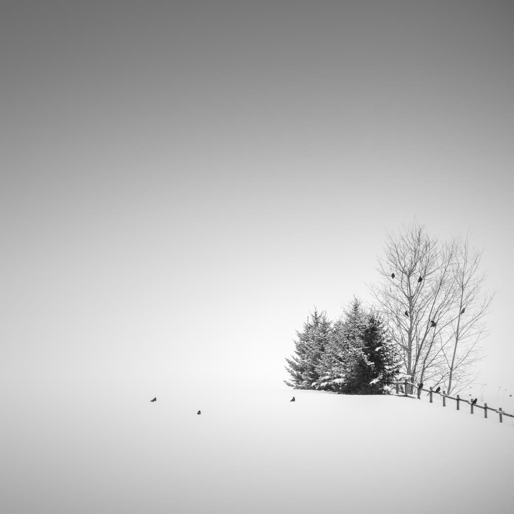 Monochrome Winter Landscape by Jana Luo — canvas wall art