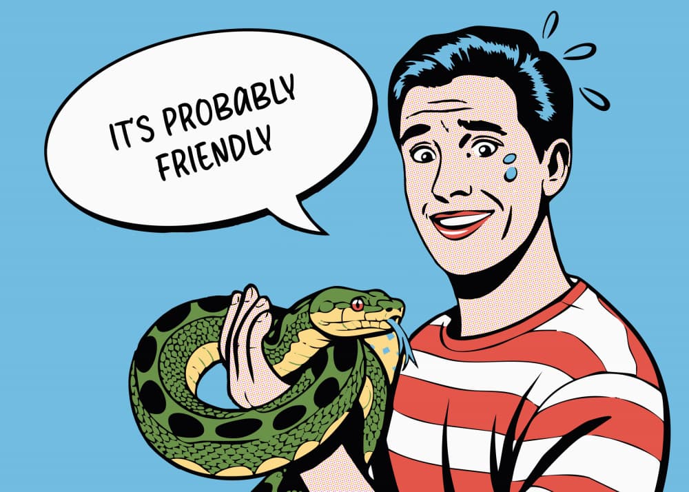 It's Probably Friendly