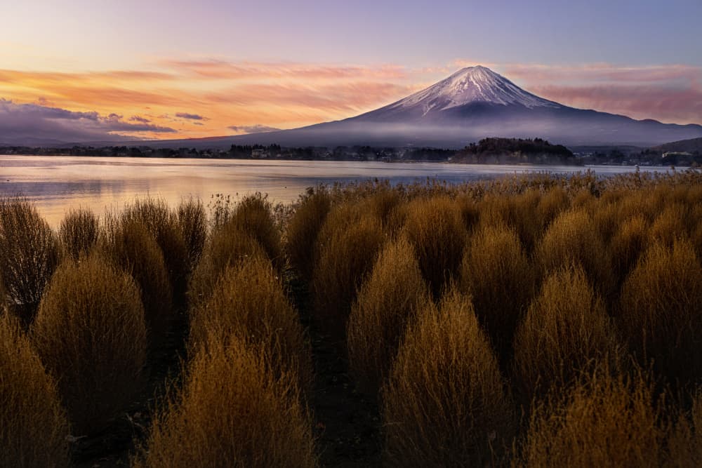 Mount Fuji Golden Sunrise by Lisa D. Tang — canvas wall art