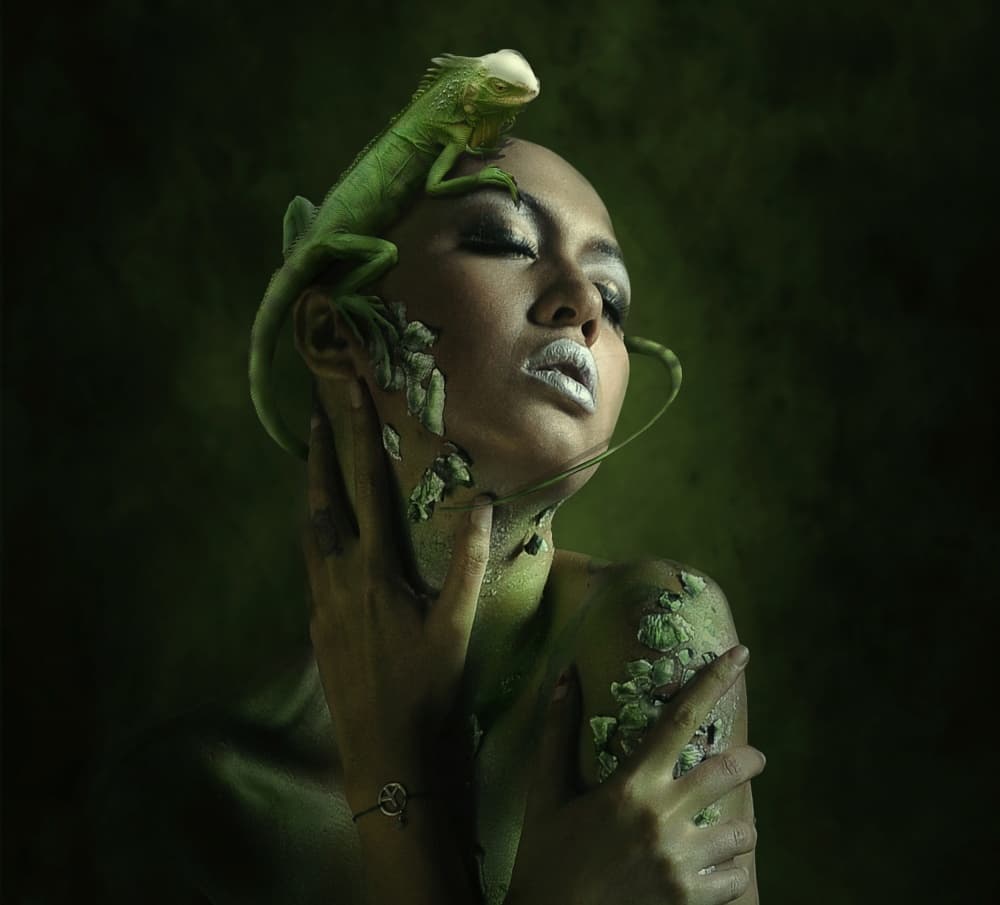 Karma Chameleon by hardibudi — canvas wall art
