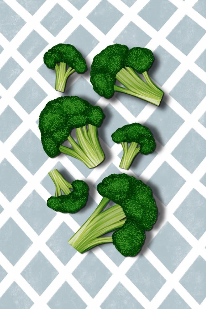 Fresh Green Broccoli Florets by EMELIEmaria — canvas wall art