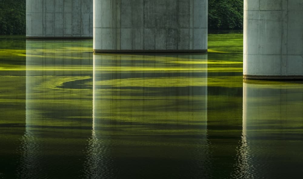 Green Water Bridge Reflections by Tsuneya Fujii — canvas wall art