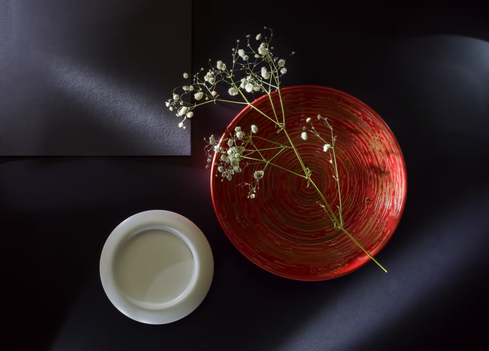 Red Plate Shadow Blooms by Evgeniy Popov — canvas wall art