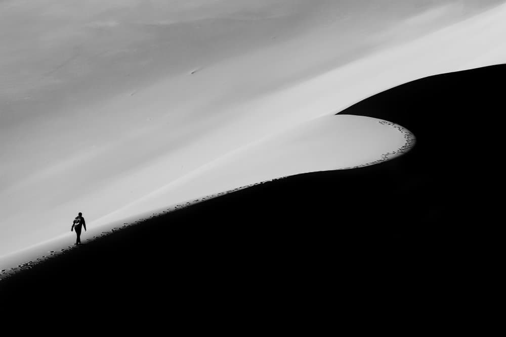 Solitary Dune Walker by pphgallery — canvas wall art