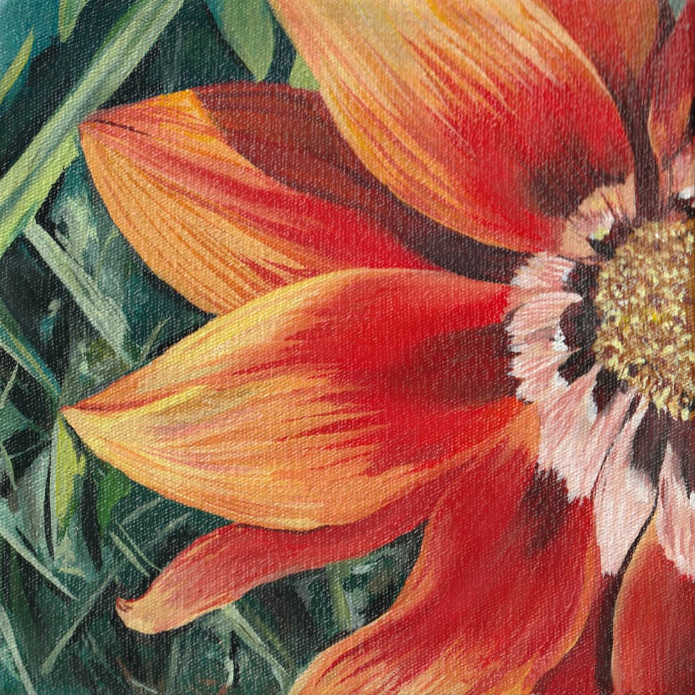 Vibrant Orange Bloom by Viccy Wanliss — canvas wall art