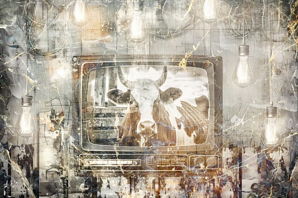 Vintage Cow Screen by Rafal Kulik — canvas wall art