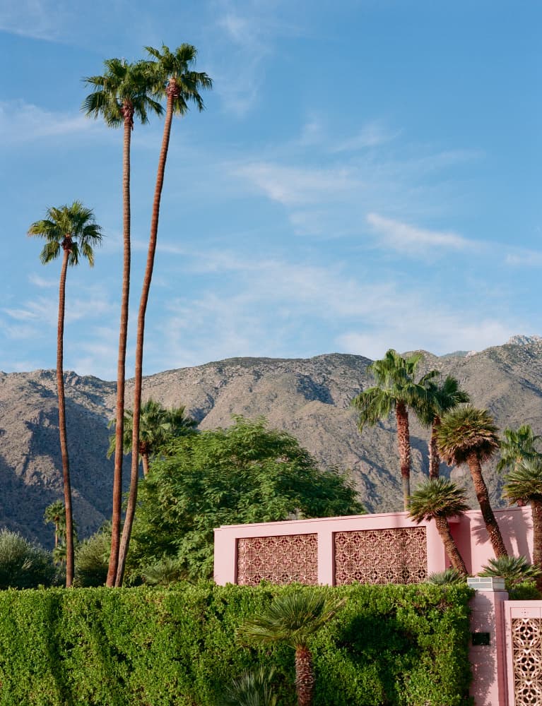 Pink Resort Palms by Bethany Young — canvas wall art