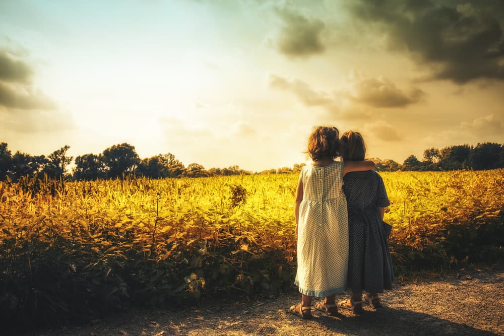 Friends in Golden Field by Christian Lechtenfeld — canvas wall art