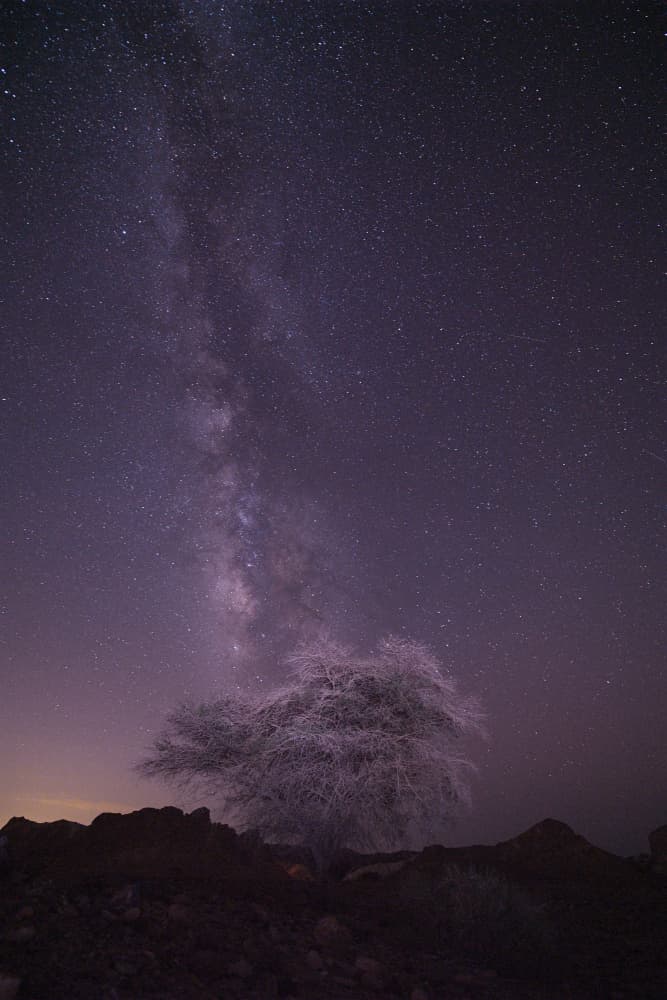 Milky Way Tree Night by Yoram GIL — canvas wall art
