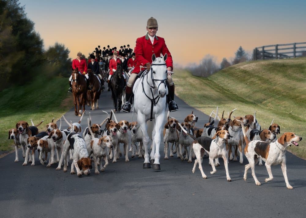 Fox Hunt by Ken Liang — canvas wall art