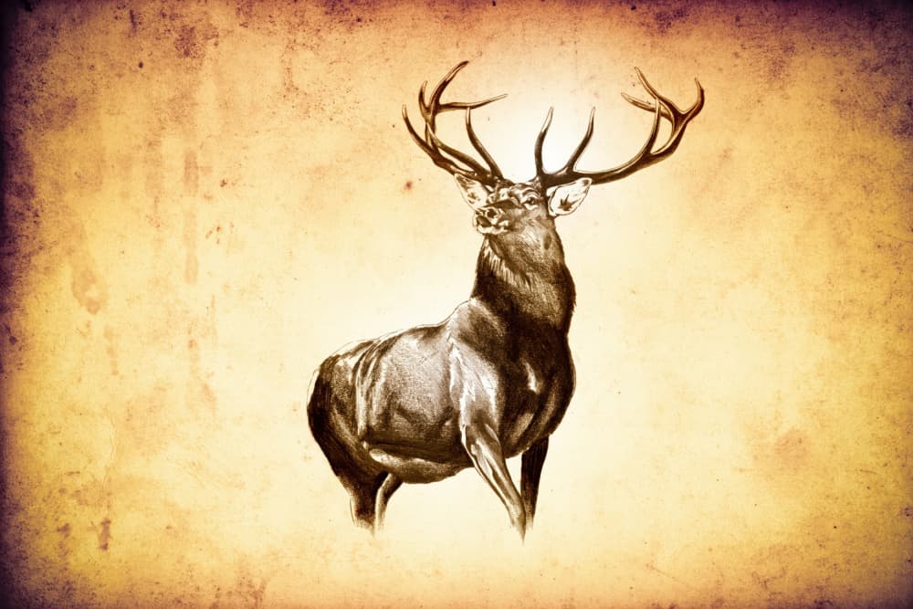 Vintage Woodland Stag by Rafal Kulik — canvas wall art