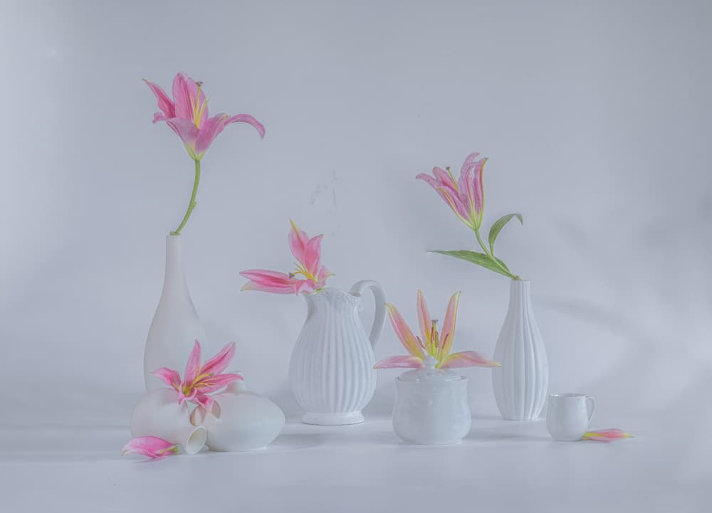 Delicate Pink Lilies by Alice Sheng — canvas wall art