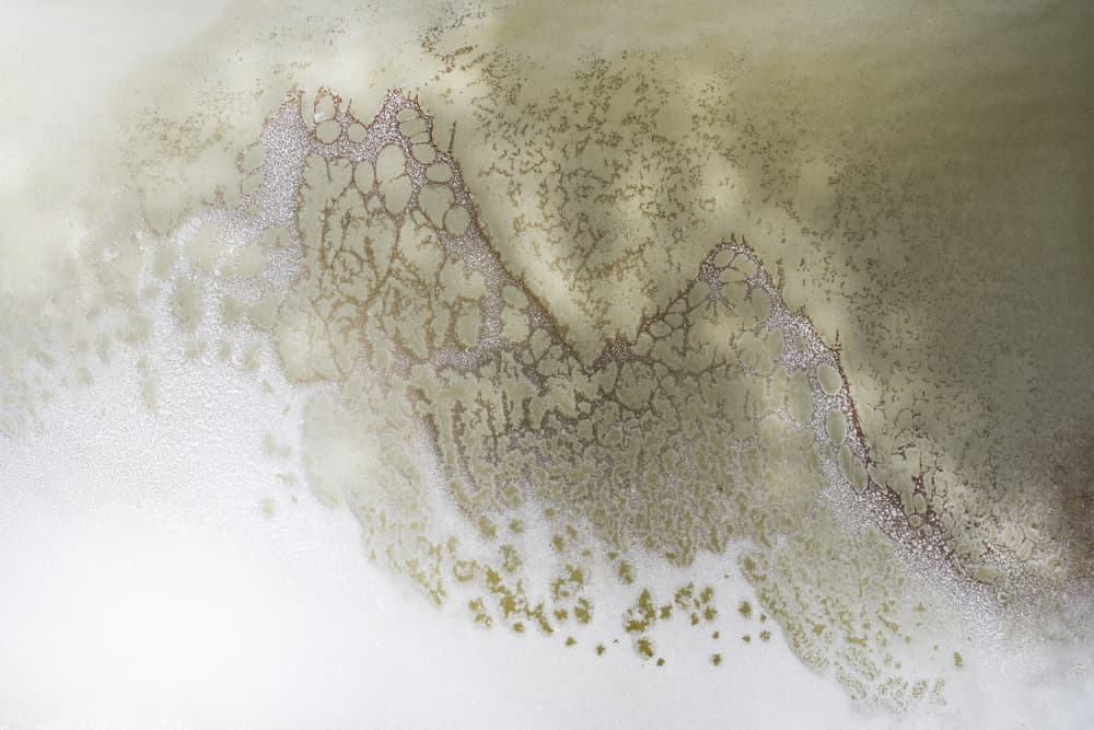 Neutral Tones - Earth Song by Petra Meikle de Vlas — canvas wall art