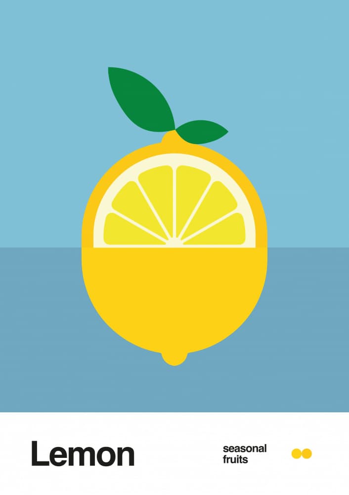 Bright Lemon Slice Illustration by David Vineïs — canvas wall art