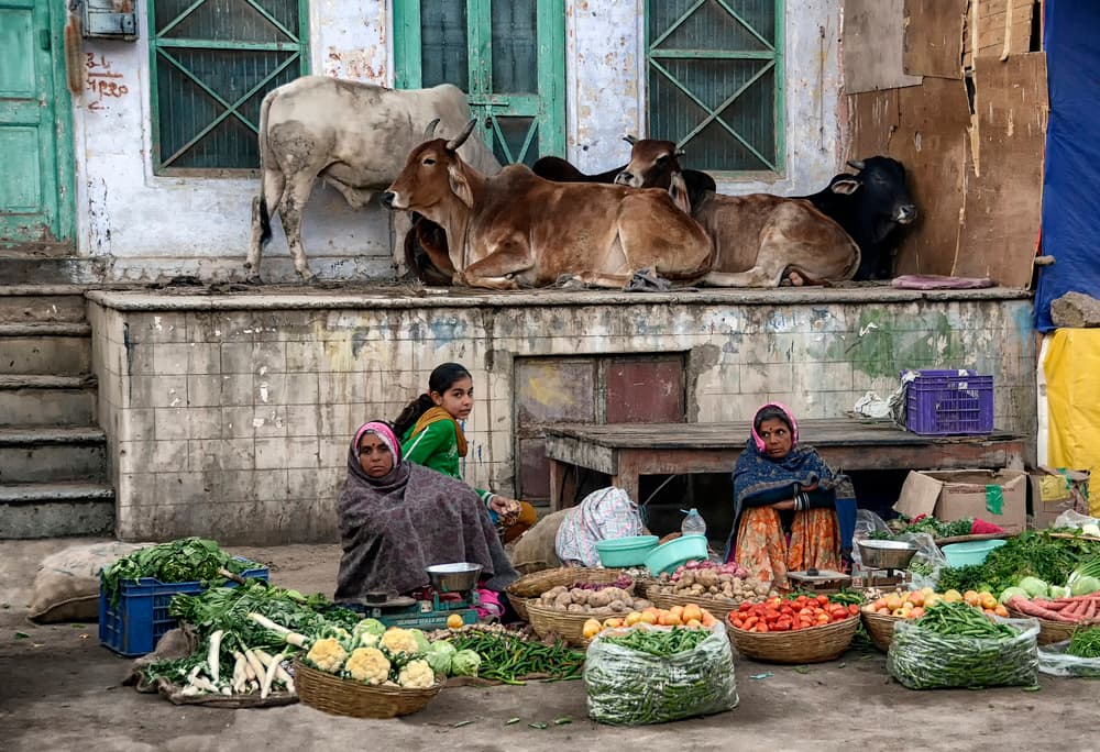 Vibrant Indian Market by Eden Antho — canvas wall art