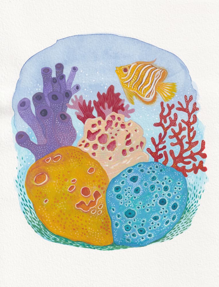 Colorful Coral Reef by Anjana Mistry — canvas wall art