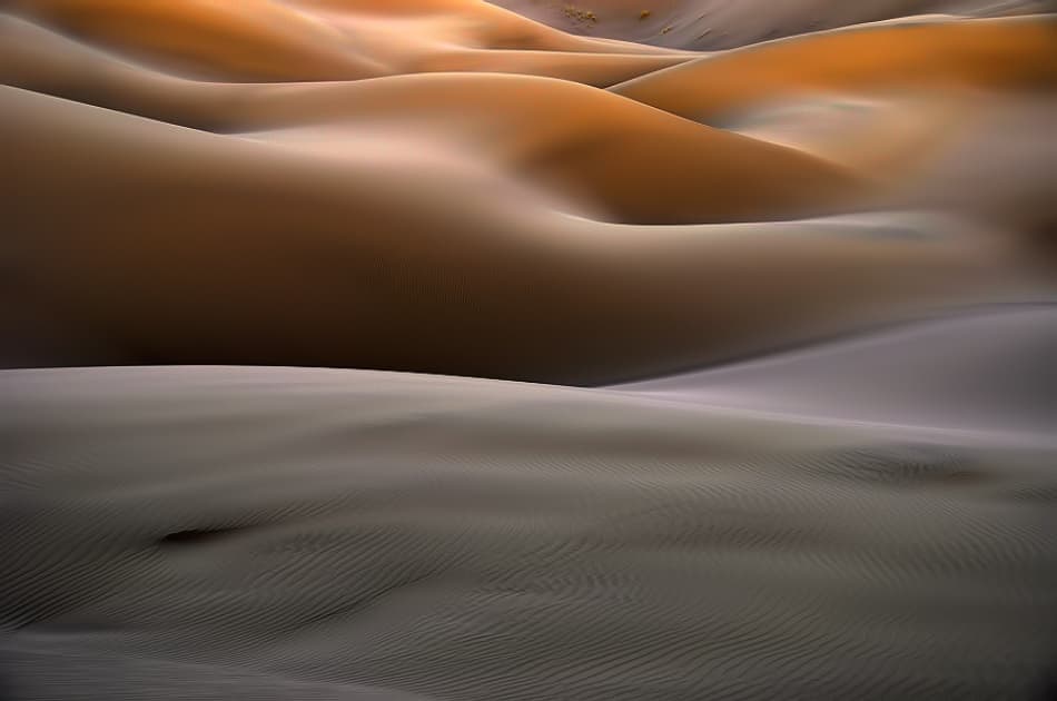  by Arash Karimi — canvas wall art