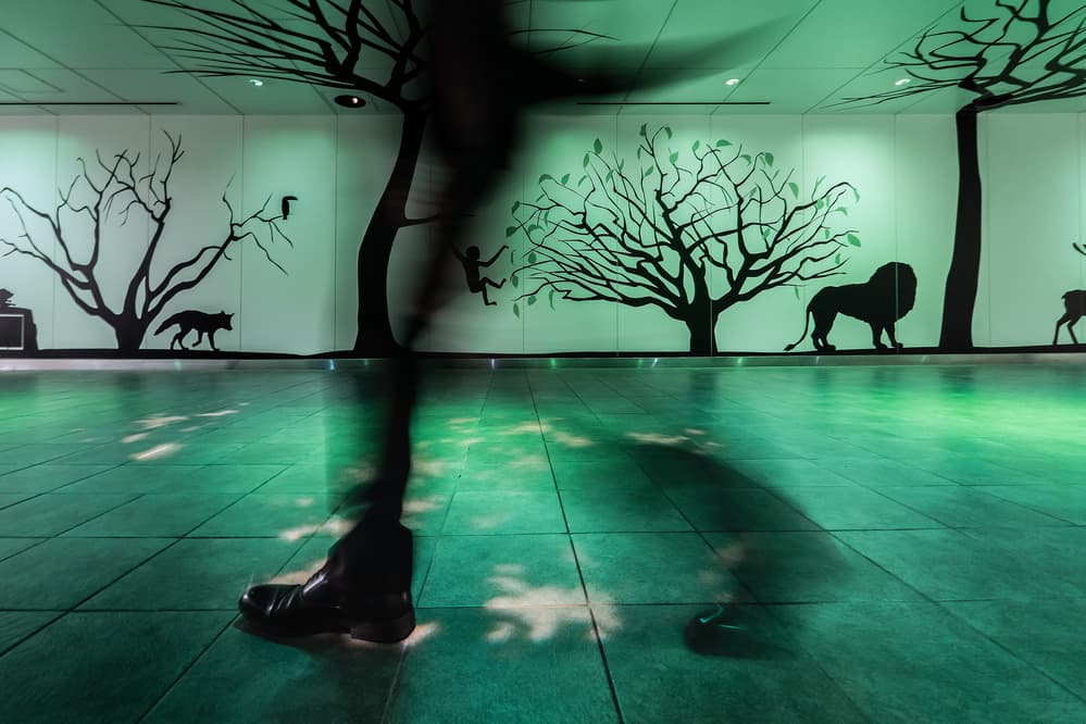 Green Forest Shadow Walk by Tetsuya Hashimoto — canvas wall art