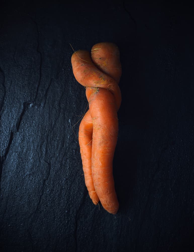 Carrot Embrace by Karina Aleksandrova — canvas wall art
