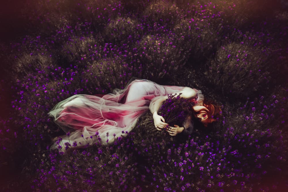 Serene Lavender Dream by Ruslan Bolgov — canvas wall art