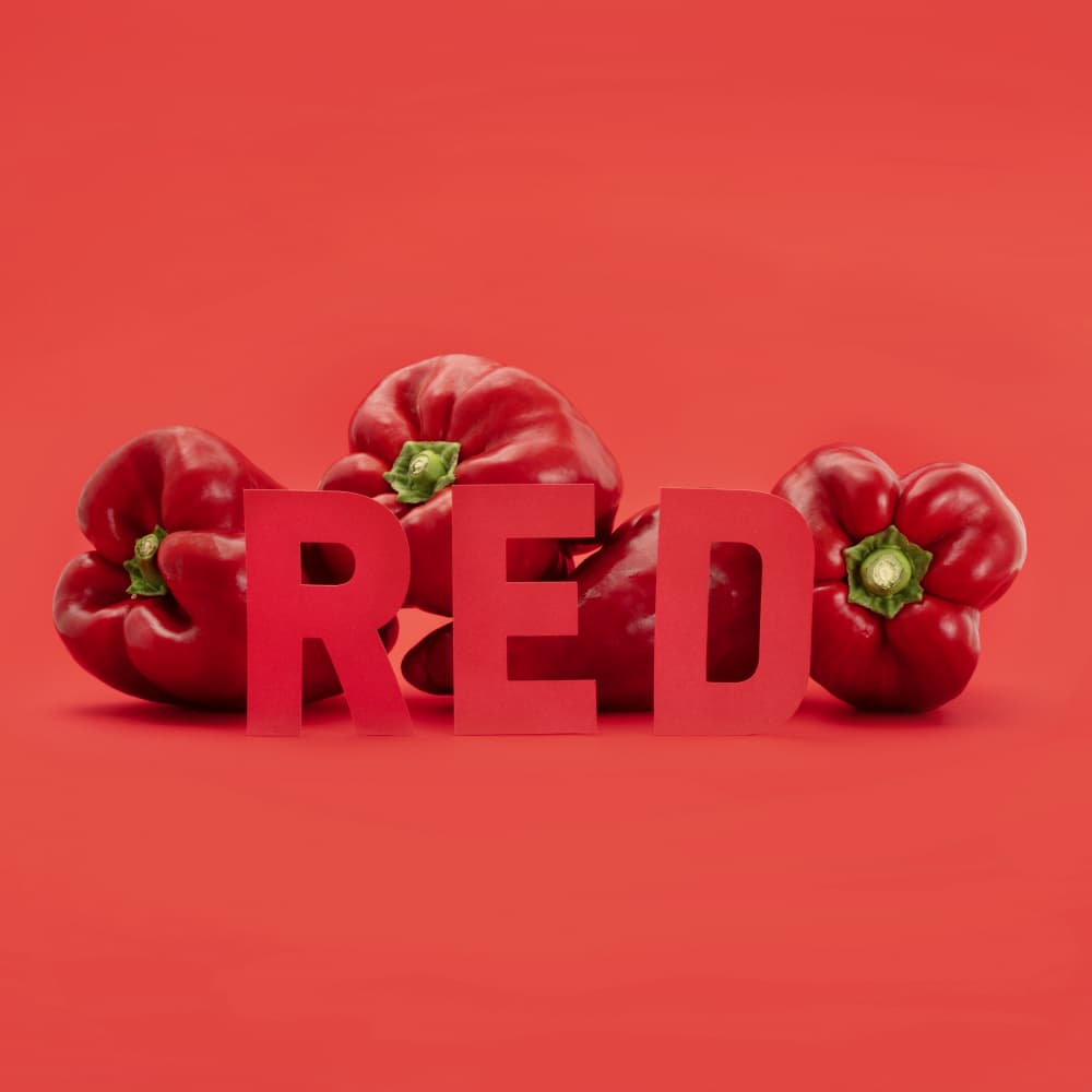 Bold Red Display by Julia Ramiro — canvas wall art