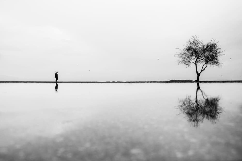 Man Tree Water Reflection by Ali Ayer — canvas wall art