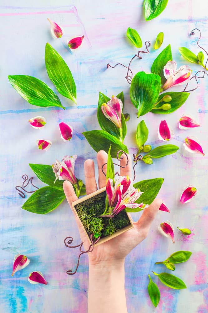 Vibrant Hand Bloom by Dina Belenko — canvas wall art